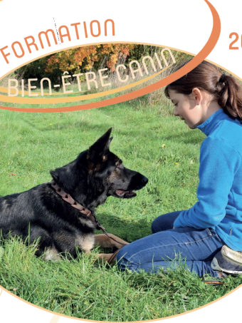 Formation “One Welfare – Bien-être canin” – Édition 2026 Formation “One Welfare – Bien-être canin” – Édition 2026