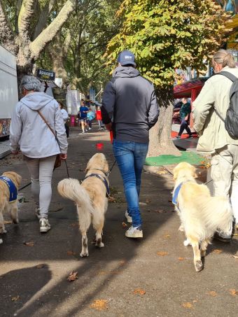 Chien d'assistance Os'mose Chien d'assistance Os'mose